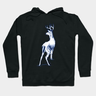 Curious Deer (blue) Hoodie